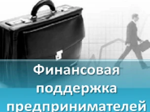 Финансовая поддержка субъектов малого и среднего предпринимательства в Нижегородской области